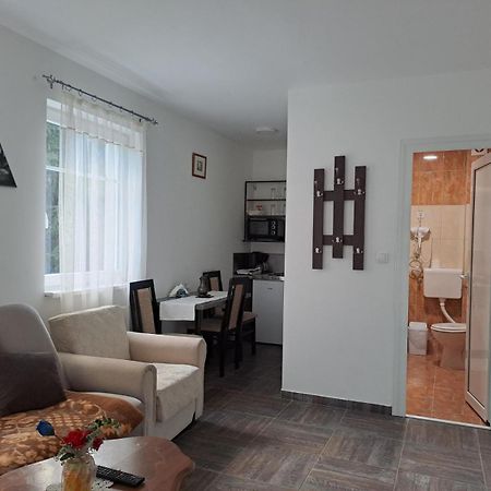 VILA MOZART - Apartments&Studios Kopaonik Exterior foto