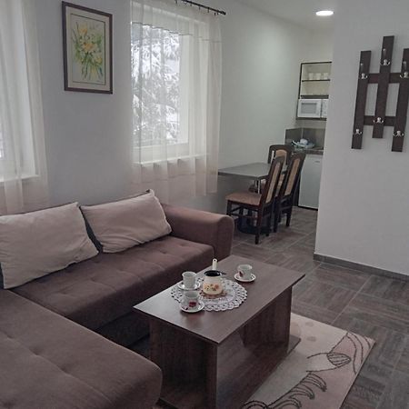 VILA MOZART - Apartments&Studios Kopaonik Exterior foto
